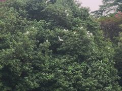 -怡海公园(桂城街道)