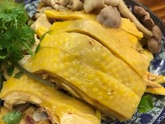 -九斤黄三黄鸡专卖店