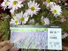 -花·fleur古董西餐厅(西城夜未央店)