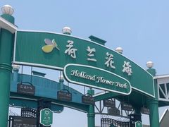 -荷兰花海