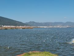 -海埂大坝
