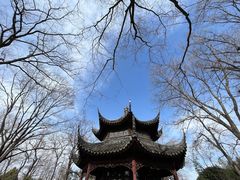 -拙政园