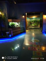 -未来动物城动物主题公园(大悦城店)