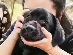 -爸爸糖吐司面包(南京奥体店)