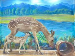 -北京鹿世界主题园