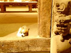 -院8里·少城记忆老川菜(宽窄巷子店)