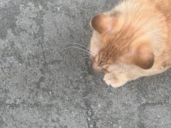 -一天下大厦