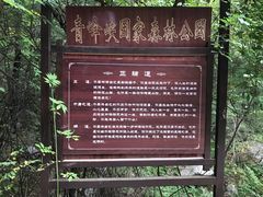 -青峰峡国家森林公园