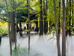 -东湖落雁景区