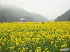 -广州市流溪河国家森林公园
