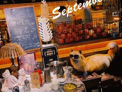 -杂咖zacup(领展中心城店)