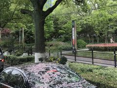 -BreadTalk面包新语(龙之梦购物中心莘庄店)