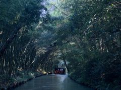 -同里国家湿地公园