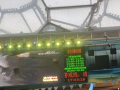-水立方嬉水乐园