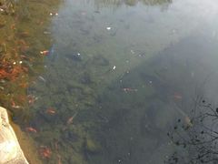 -水磨沟公园