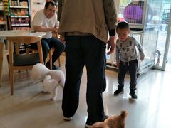 -我爱吾宠宠物美容院(朝阳路店)