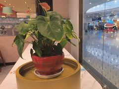 -康师傅私房牛肉面(申虹店)