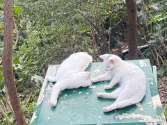 -狼山风景名胜区