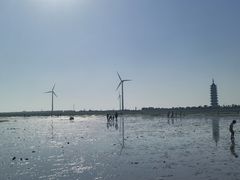 -奉贤海滩