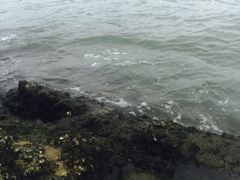 -碧桂园十里银滩