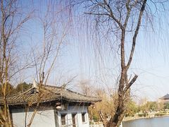 -杏花村文化旅游区
