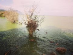 -昆明滇池国家级风景名胜区西山景区