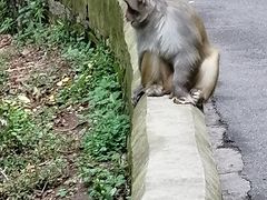 -黔灵山公园