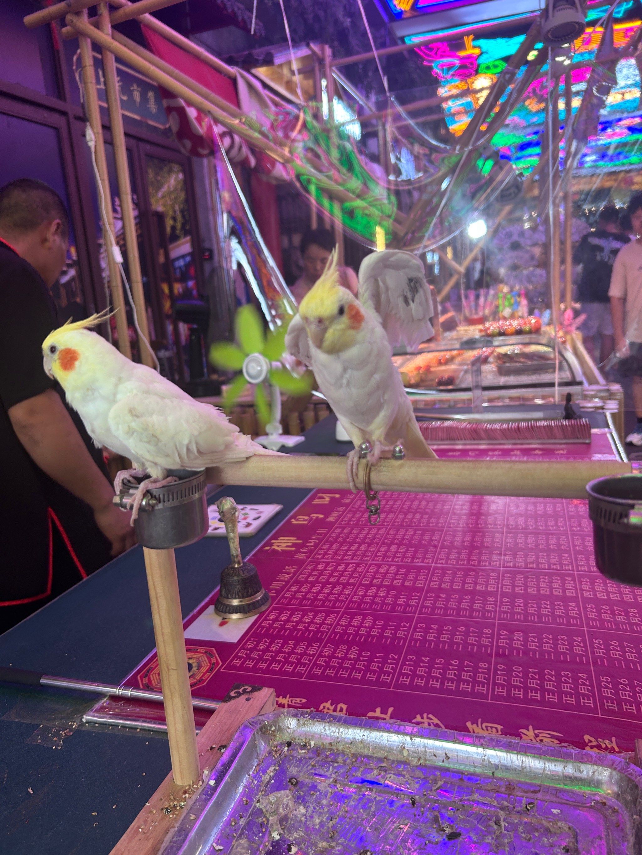 新街口灵鸟叼签