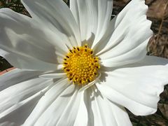 -武清南湖绿博园