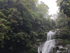 -碧峰峡风景区
