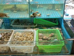 -和源祥·日照菜扛把子(万平口一店)