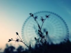 -凤岭儿童公园