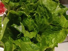 -韩宫宴烤肉·料理(苏州中心店)