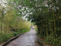 -竹泉村旅游度假区
