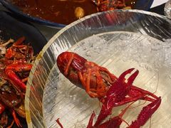 -红盔甲·小龙虾(天钥桥店)