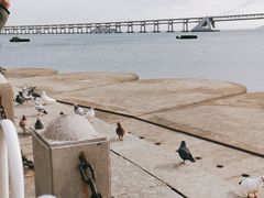 -星海广场