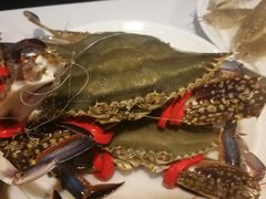 -九月海·海鲜自助(世纪东方店)