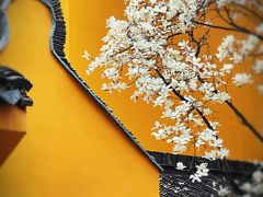 -龙华寺