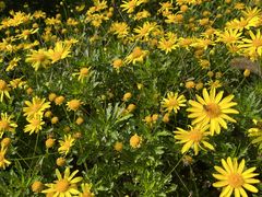 -汉长安城未央宫国家考古遗址公园