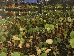 -木塔寺遗址生态公园