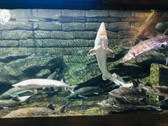 -梦幻海洋王国(吾悦广场张家港店)