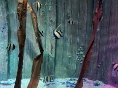 -沈阳海洋探索中心