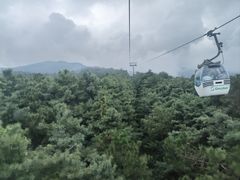-苍山感通索道
