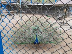 -森林公园(尖草坪区)