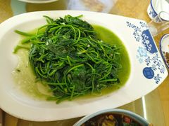 清炒地瓜叶-天元河田土鸡店(莲花山店)