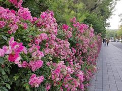 -北京展览馆