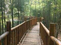 -陶祖圣境风景区