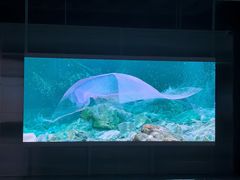 -现代汽车文化中心 Hyundai Motorstudio Beijing