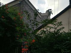 -川沙古镇-停车场