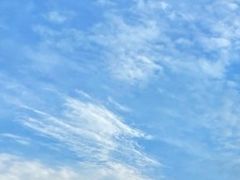 -长洲岛